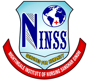 NINSS - Nightingale Institute of Nursing